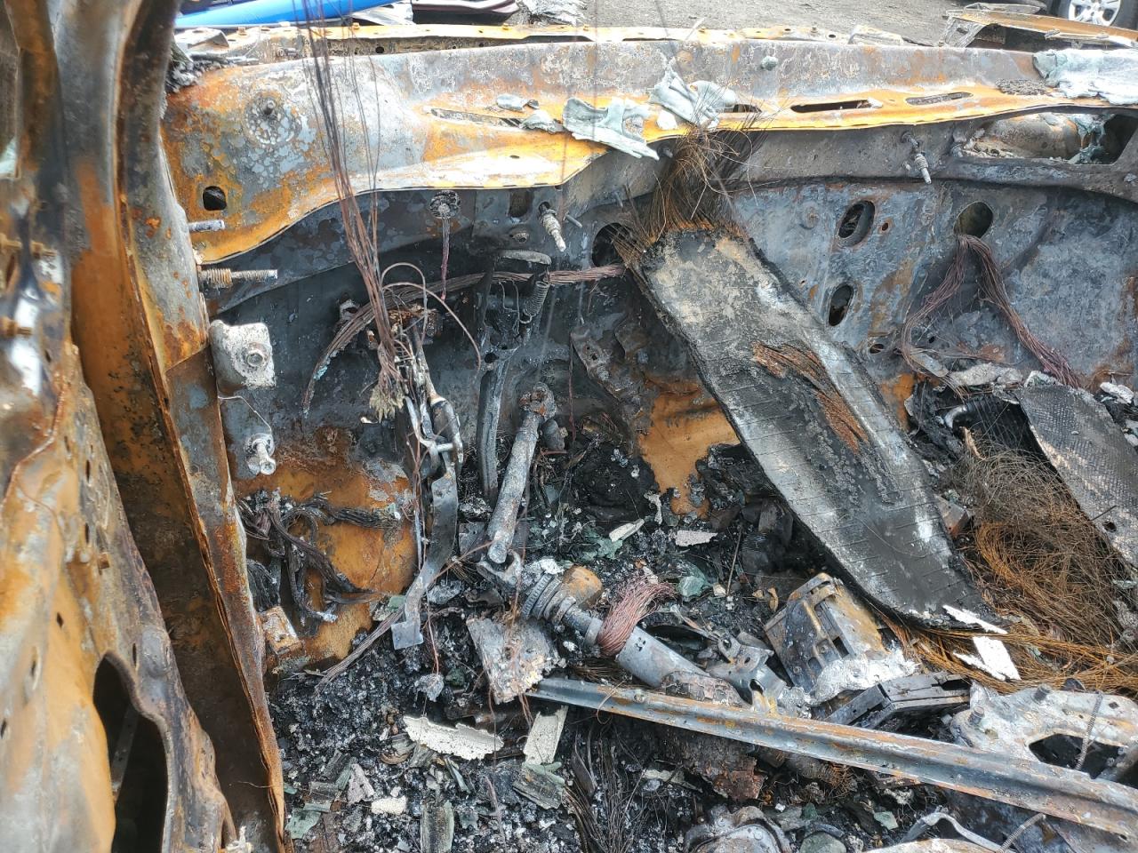 Global Auto Auctions