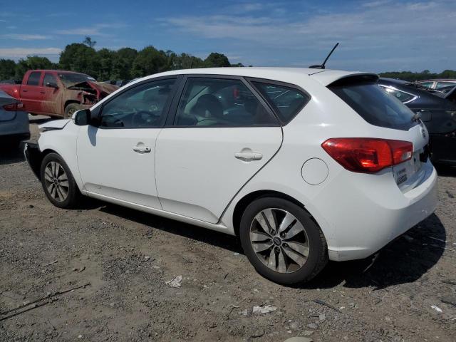 2013 KIA FORTE EX - KNAFU5A28D5681364
