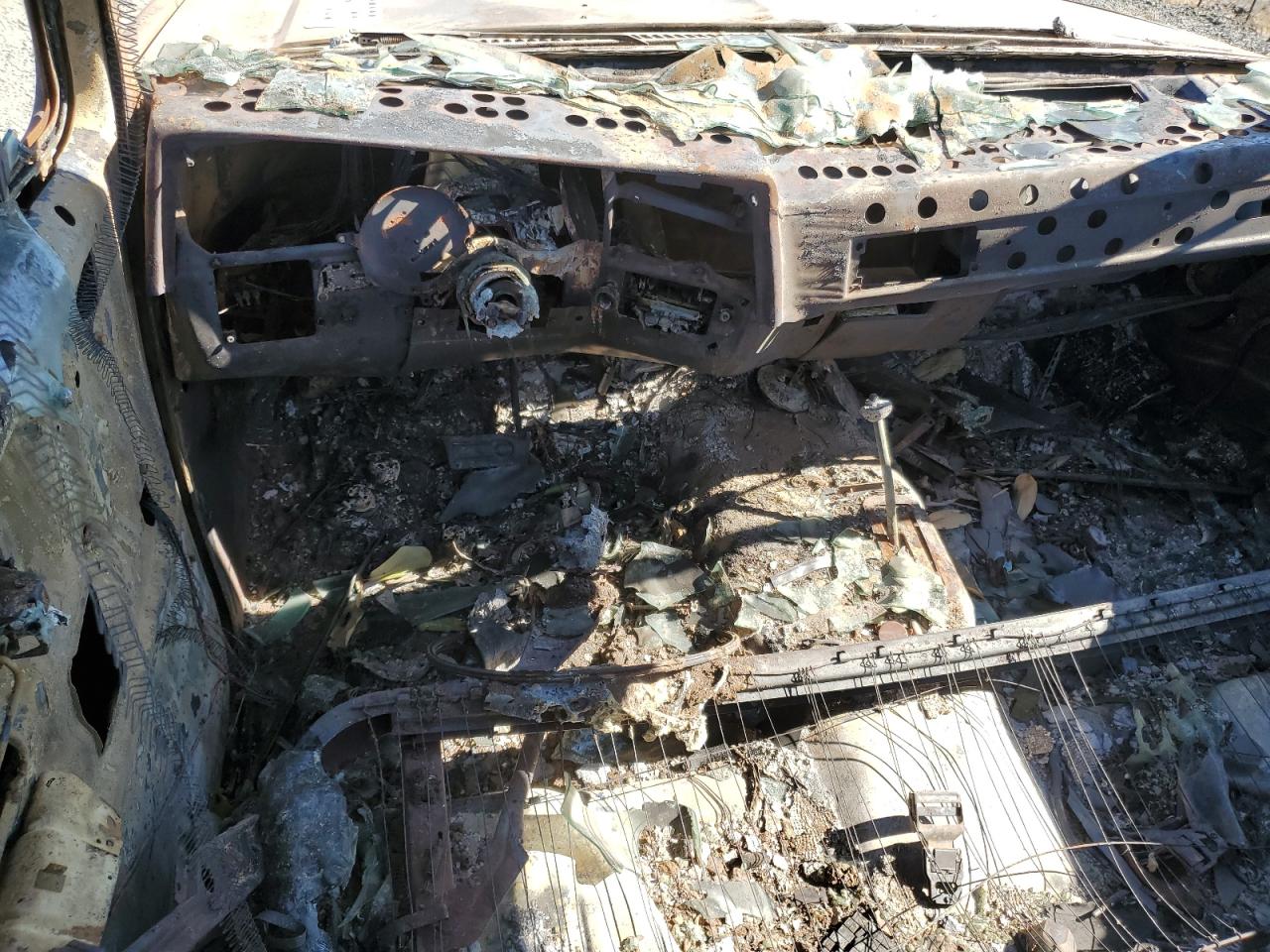 Global Auto Auctions