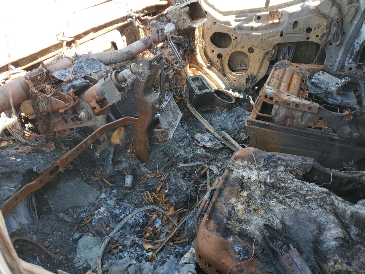 Global Auto Auctions