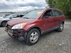 Top Destinations for Shipping Cars from the USA