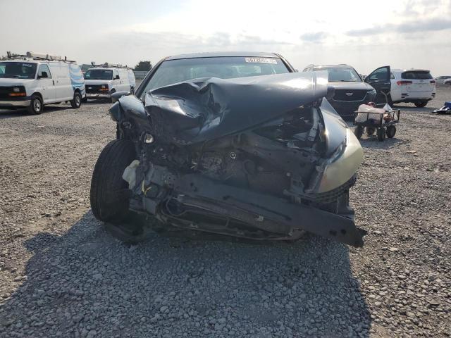 2010 HONDA ACCORD EXL - 1HGCP2F82AA135866