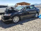 Top Destinations for Shipping Cars from the USA