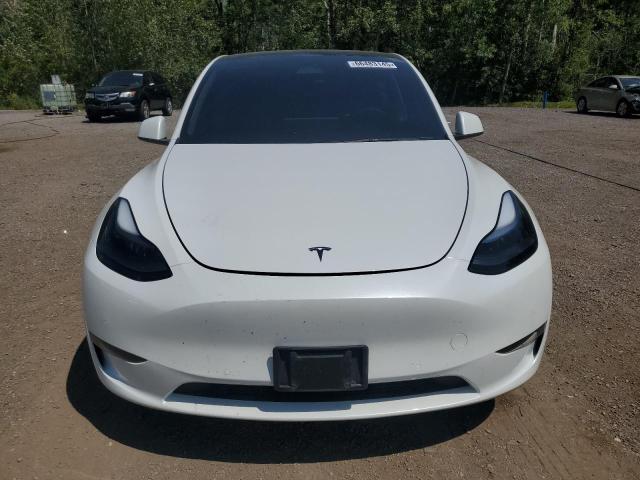 2022 TESLA MODEL Y 7SAYGDEE2NF564402