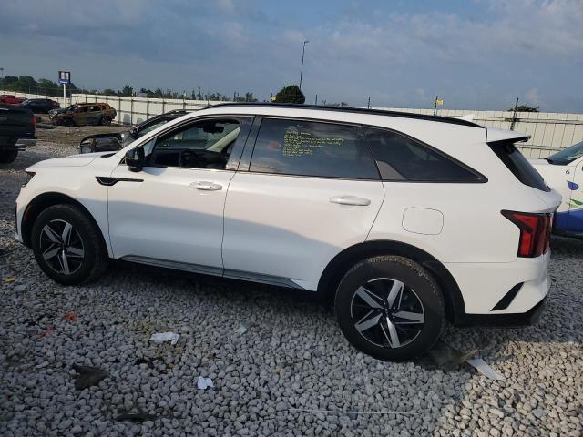 2023 KIA SORENTO S 5XYRL4LC3PG214416