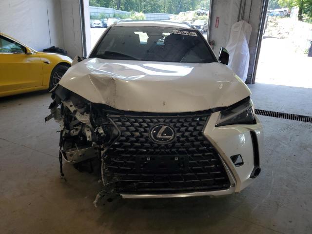 2025 LEXUS UX 300H BA #3306409527