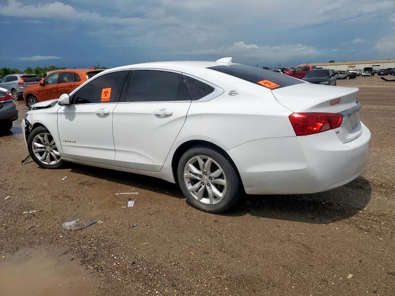 2019 CHEVROLET IMPALA LT 1G11Z5S36KU110618