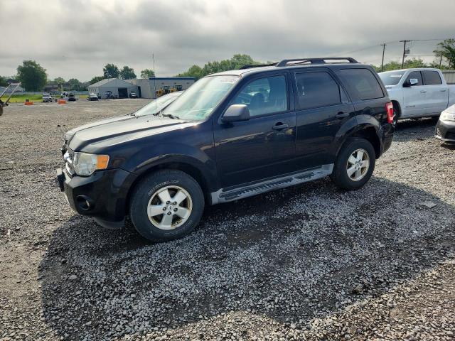 Vin: 1fmcu9dg4ckb47746, lot: 63258185, ford escape xlt 2012 img_1