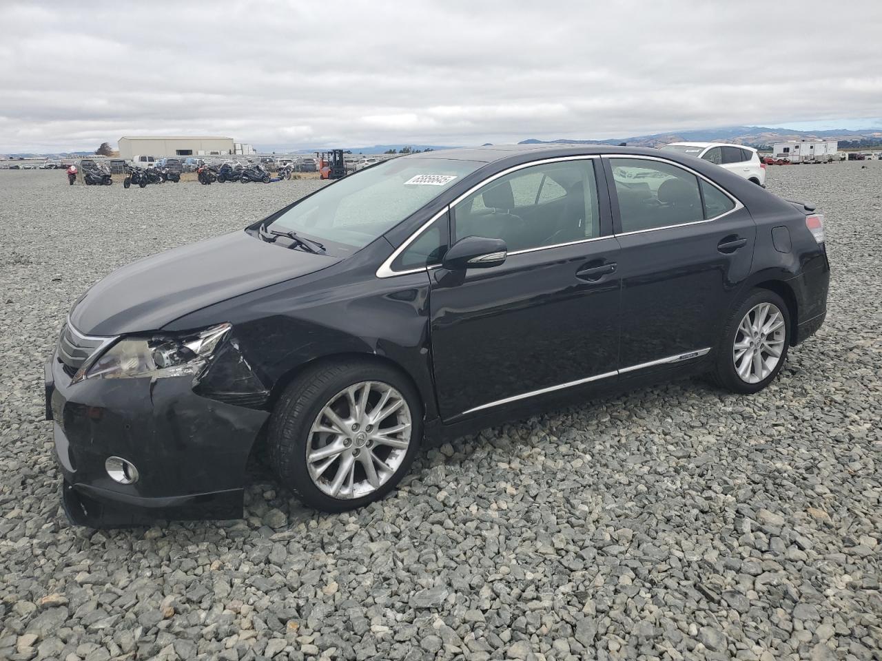 LEXUS HS 250H