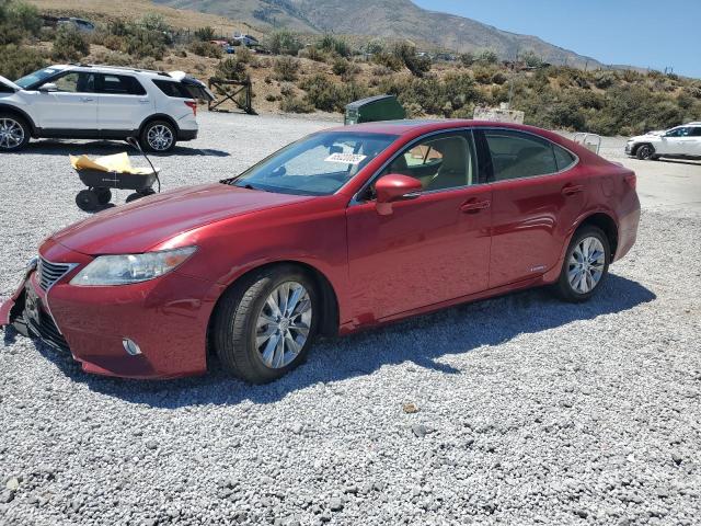 LEXUS ES 300H