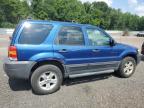 Lot #3304673942 2007 FORD ESCAPE XLT