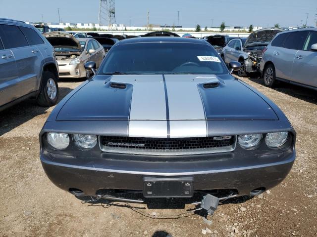 2014 DODGE CHALLENGER - 2C3CDYAG8EH250928