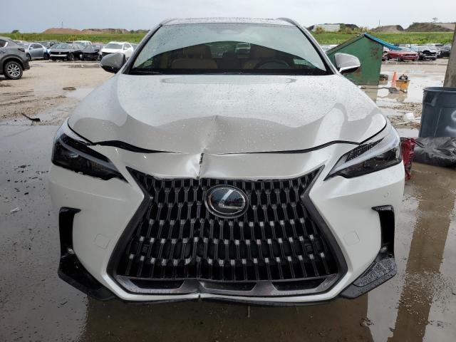2025 LEXUS NX 350 BAS 2T2AGCEZ4SC075703