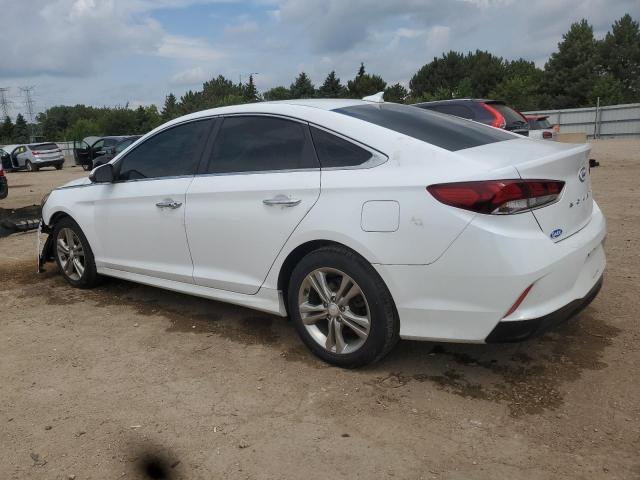 2019 HYUNDAI SONATA LIM 5NPE34AF2KH754580