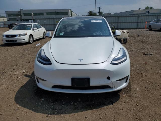 2021 TESLA MODEL Y 5YJYGDEE6MF117809