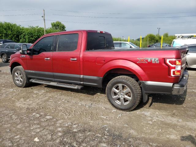 2019 FORD F150 SUPER - 1FTFW1E1XKFC69378