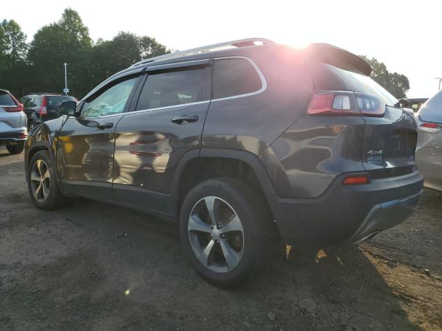 2019 JEEP CHEROKEE L 1C4PJMDN9KD150726