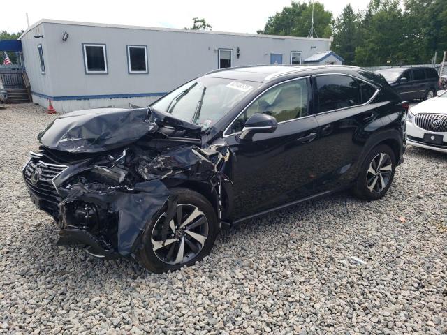 LEXUS NX 300 BAS