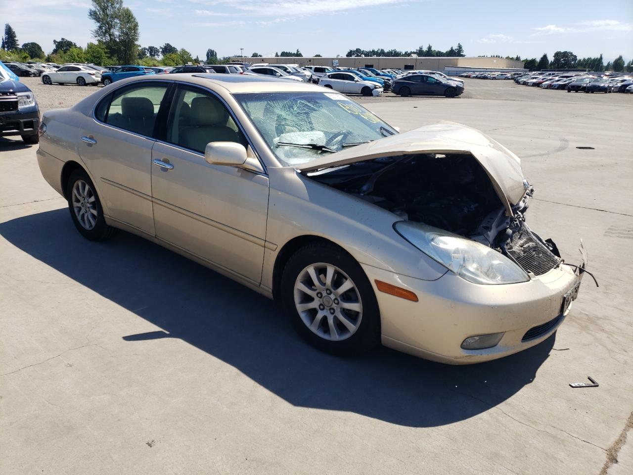 Lot #3282414272 2004 LEXUS ES 330