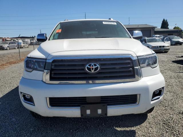2019 TOYOTA SEQUOIA LI 5TDJY5G14KS170337