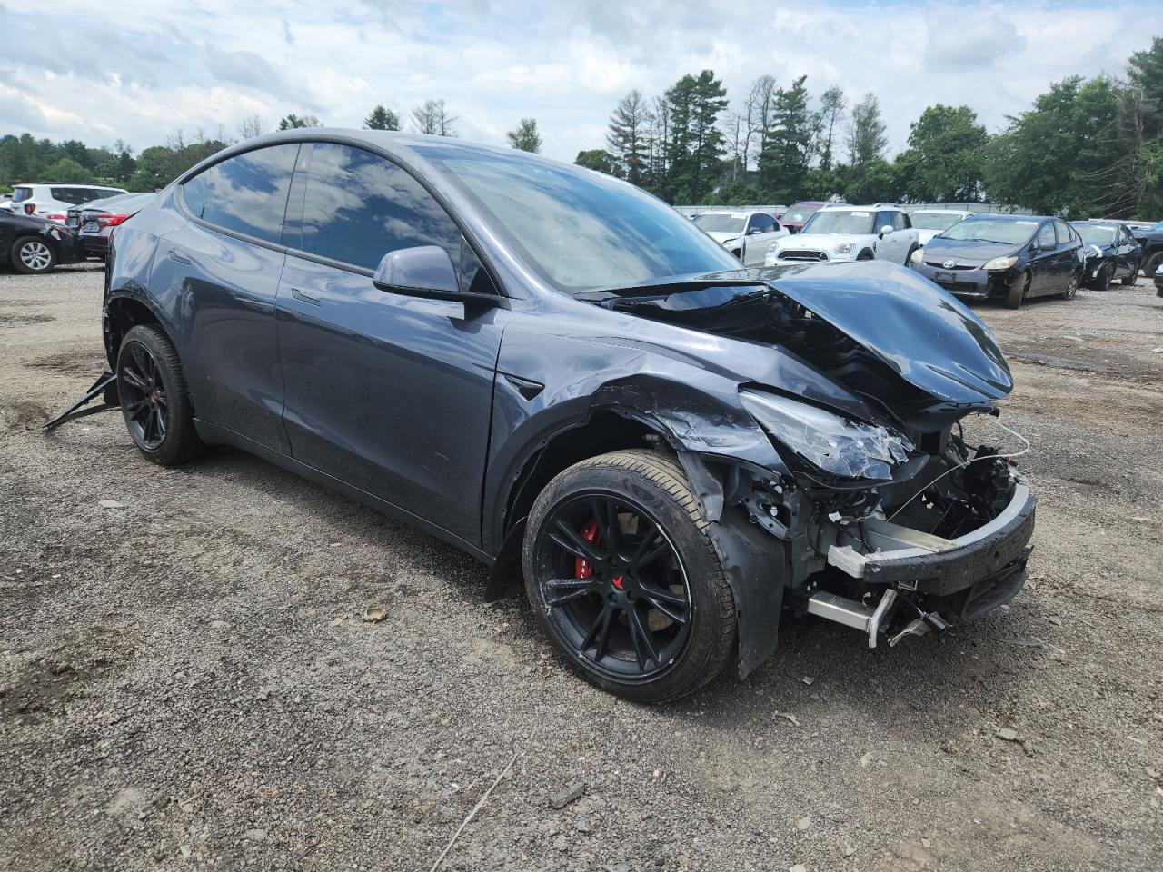 TESLA MODEL Y