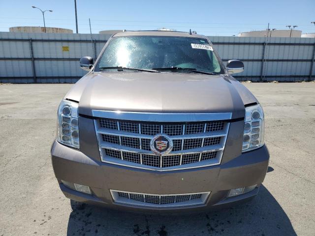 1gys4kef1dr206347 - 2013 Cadillac escalade esv platinum - #59038875