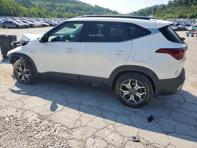 2021 KIA SELTOS EX - KNDERCAA8M7049805
