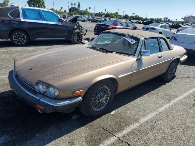 JAGUAR XJSC HE 1987 brown  gas SAJNV3848HC138638 photo #1