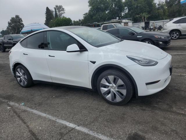 2023 TESLA MODEL Y 7SAYGDEE8PA137712