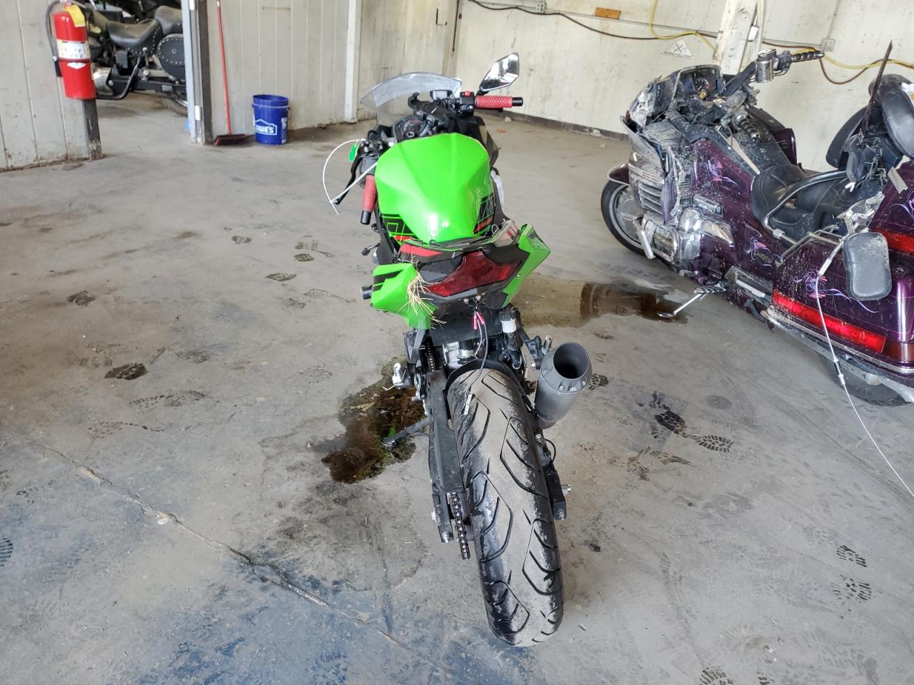 Lot #3285664640 2023 KAWASAKI EX400