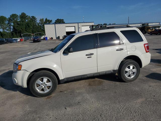 FORD ESCAPE XLT