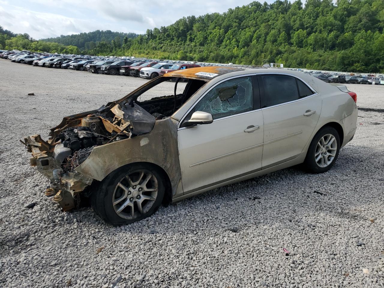 CHEVROLET MALIBU 1LT
