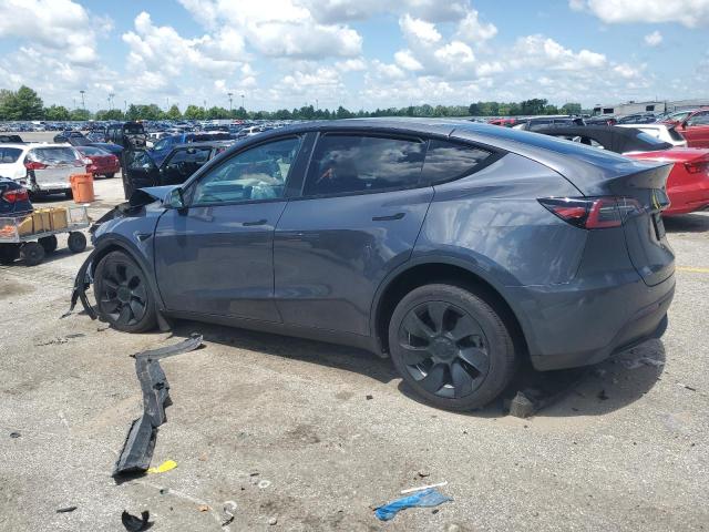 2023 TESLA MODEL Y - 7SAYGDEE5PF979989