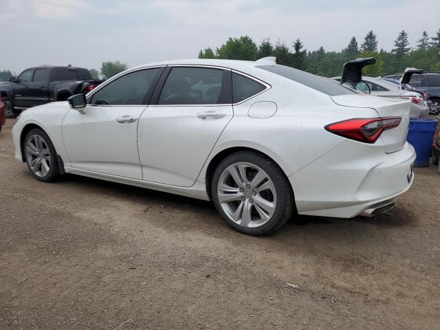 2021 ACURA TLX TECHNO 19UUB6F44MA801699