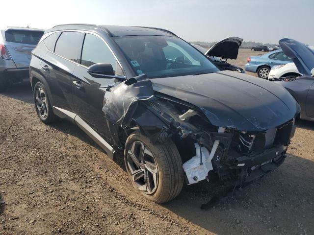 2023 HYUNDAI TUCSON LIM KM8JECA10PU135539