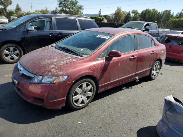 2010 HONDA CIVIC LX - 19XFA1F52AE012868