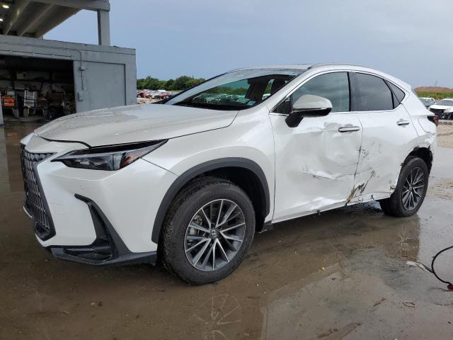 2025 LEXUS NX 350 BAS 2T2AGCEZ4SC075703