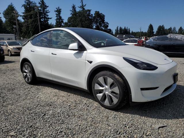 2023 TESLA MODEL Y 7SAYGDEE7PF804806