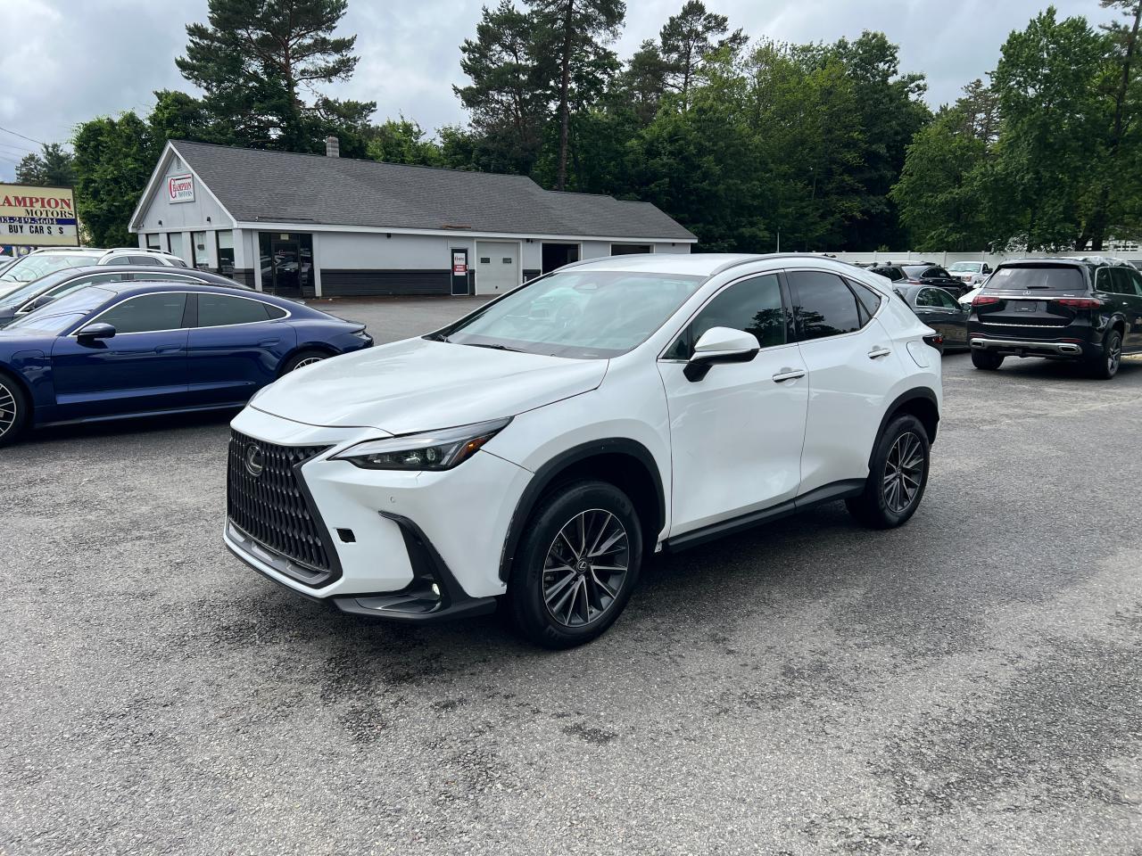 LEXUS NX 250