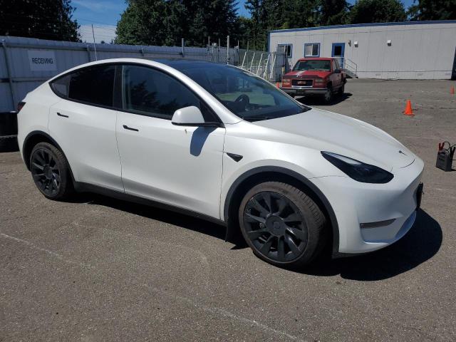 2022 TESLA MODEL Y 7SAYGDEE8NF518864