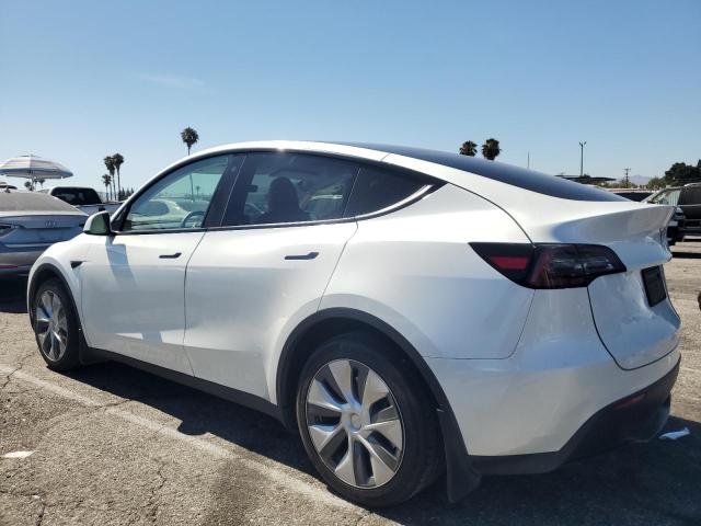 2023 TESLA MODEL Y 7SAYGDEE8PA118996