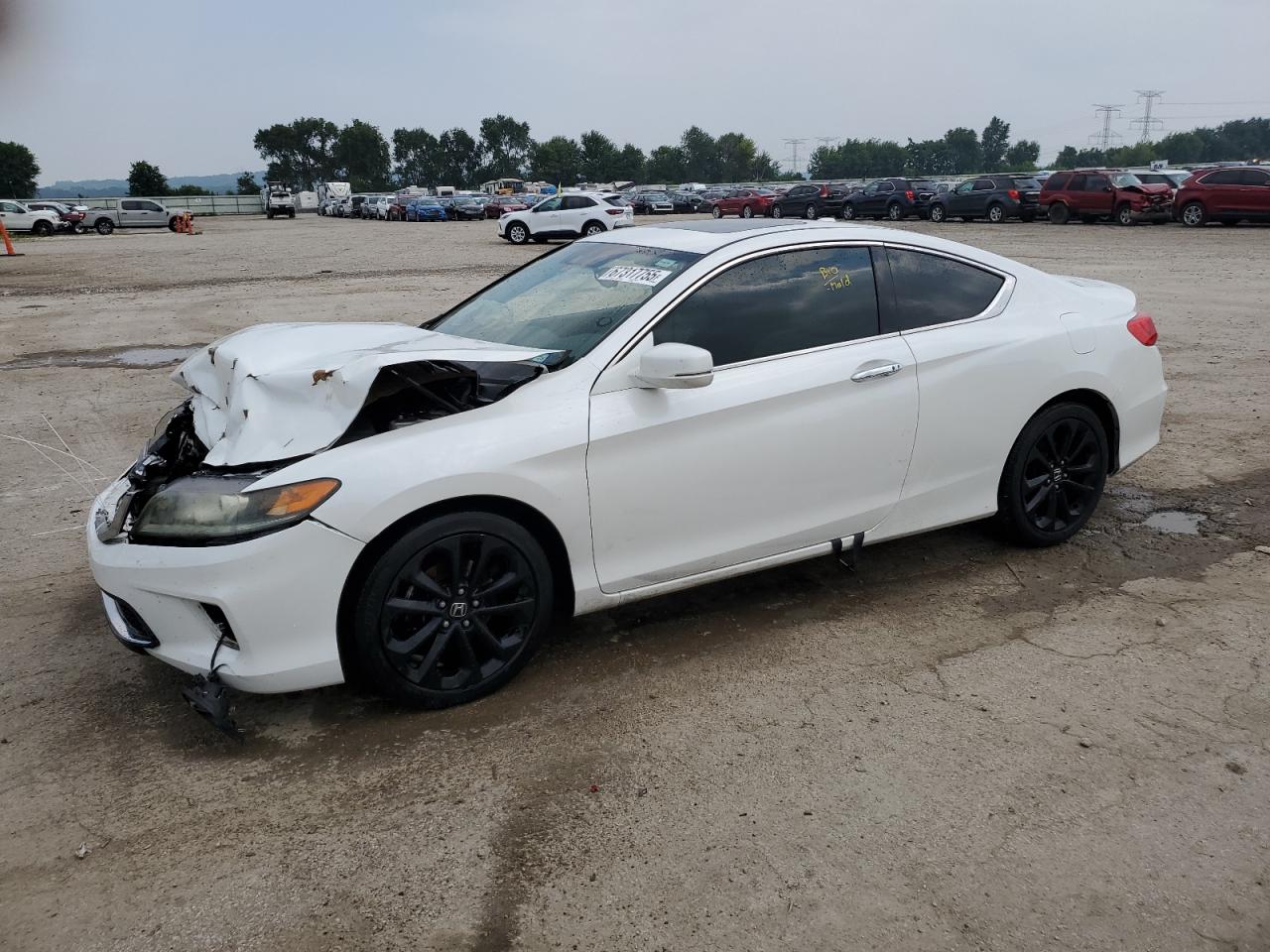 HONDA ACCORD EXL