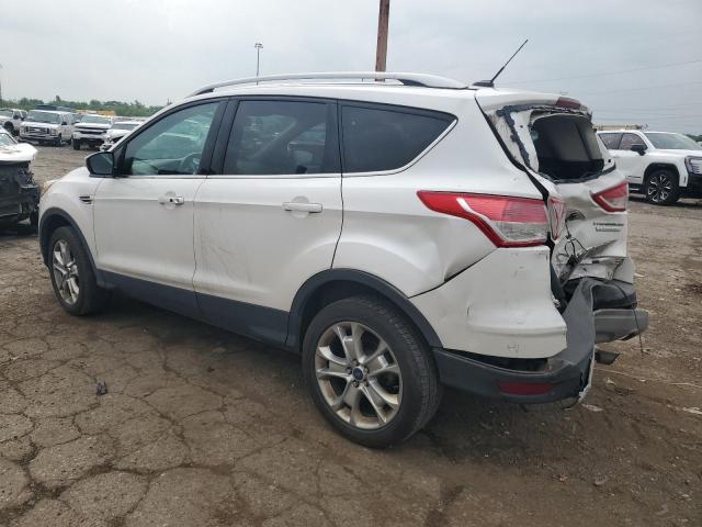 2014 FORD ESCAPE TIT #3298057150