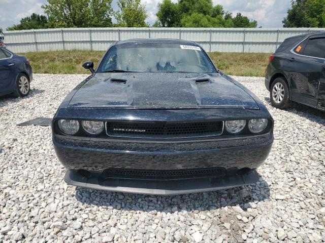 2013 DODGE CHALLENGER - 2C3CDYAG2DH599811