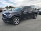 2024 HONDA RIDGELINE - 5FPYK3F56RB018901
