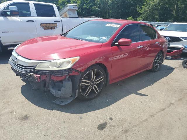 HONDA ACCORD SPO