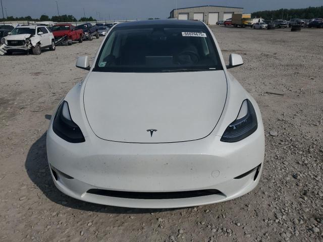 2023 TESLA MODEL Y - 7SAYGDEE0PF788447