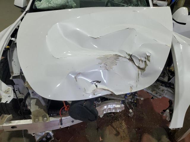 2023 TESLA MODEL Y 7SAYGDEE7PF610311