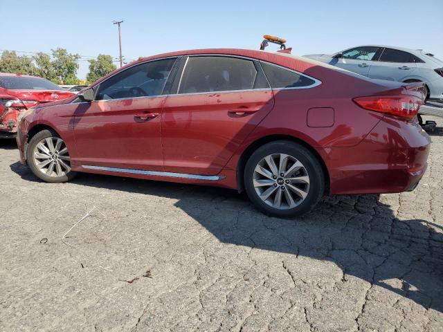 2015 HYUNDAI SONATA SPO 5NPE34AFXFH106698