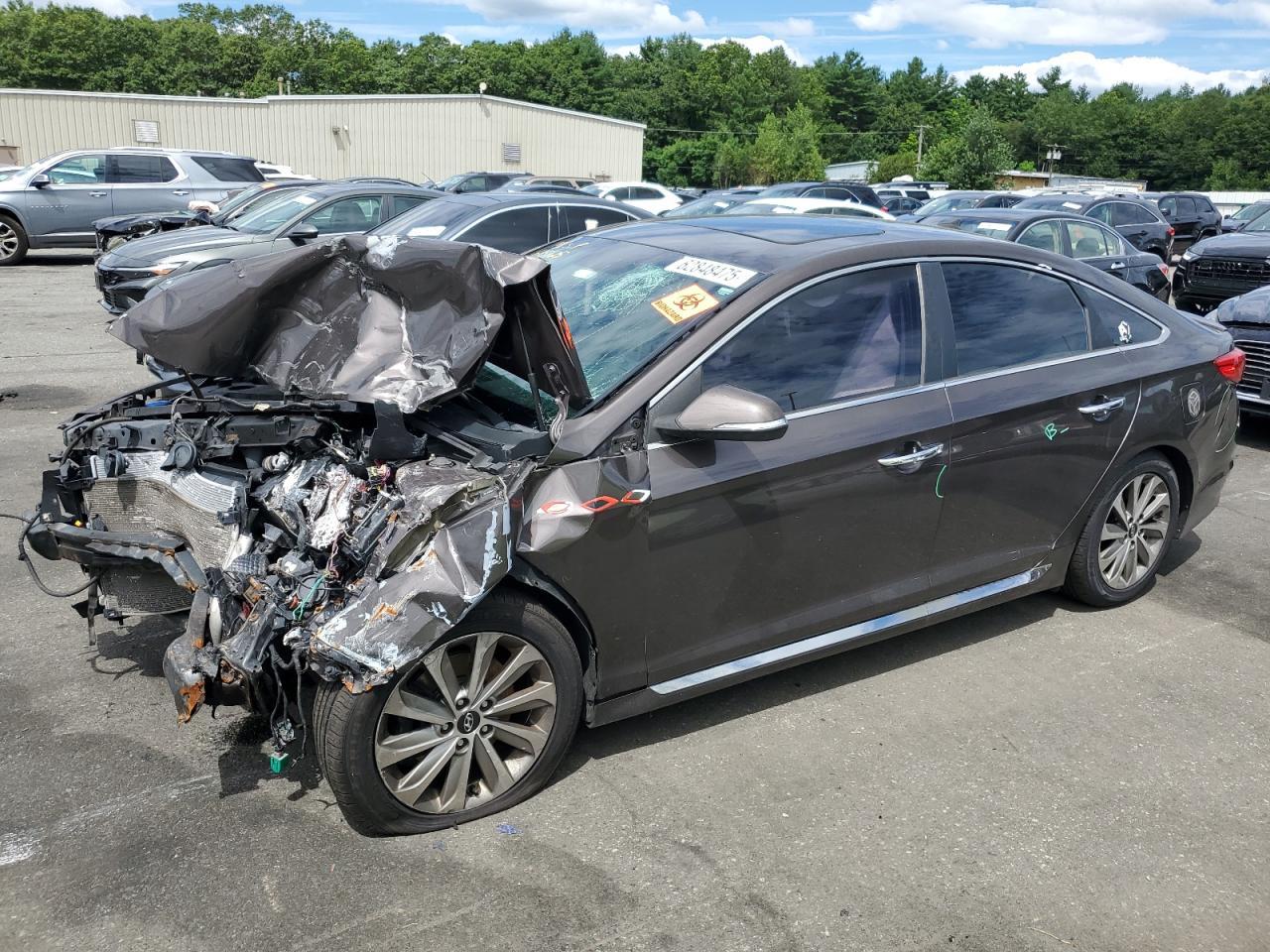 HYUNDAI SONATA SPORT